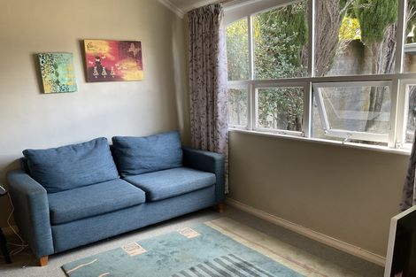 Photo of property in 41 Palmer Street, Aro Valley, Wellington, 6011