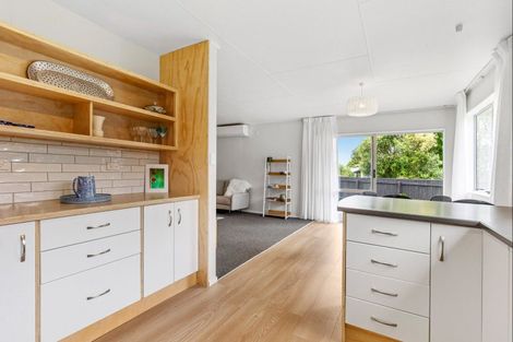 Photo of property in 45 Green Avenue, Levin, 5510