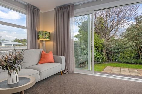 Photo of property in 21 Salisbury Avenue, Terrace End, Palmerston North, 4410