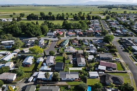 Photo of property in 22a Sheila Place, Dinsdale, Hamilton, 3204