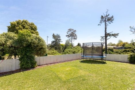 Photo of property in 89a Bruce Avenue, Glenview, Hamilton, 3206