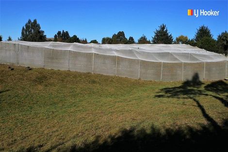 Photo of property in 1a Roseness Street, Palmerston, 9430