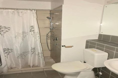 Photo of property in St Paul Apartments, 1a/4 Saint Paul Street, Auckland Central, Auckland, 1010