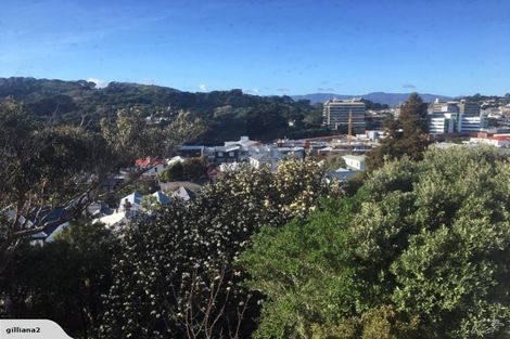 Photo of property in 61 Wright Street, Mount Cook, Wellington, 6021