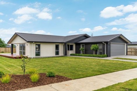 Photo of property in 36 Gimson Street, Solway, Masterton, 5810
