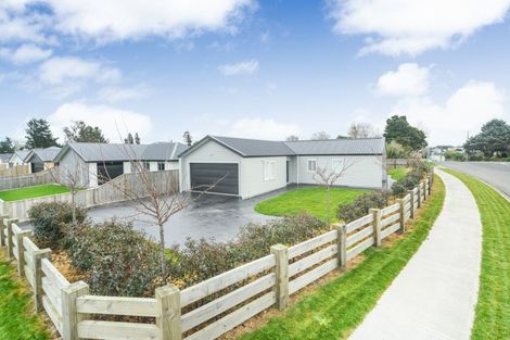 Photo of property in 2 Oldfield Lane, Marton, 4710