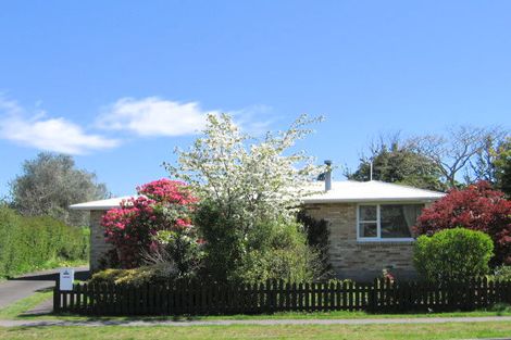 Photo of property in 1/8 Rotokawa Street, Taupo, 3330