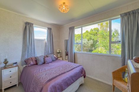 Photo of property in 147 Ngataipua Road, Orongo, Thames, 3574