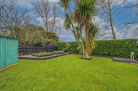 Photo of property in 47 Alfred Street, Roslyn, Palmerston North, 4414