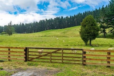 Photo of property in 1941 Tangowahine Valley Road, Tangowahine, Dargaville, 0372