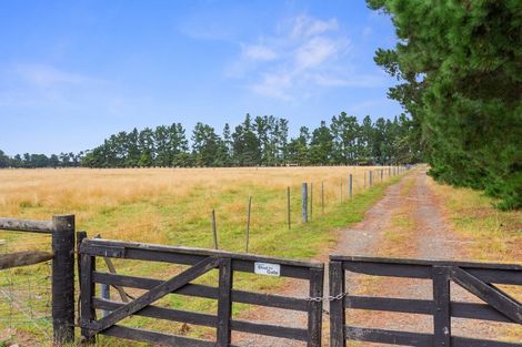 Photo of property in 317 Innes Road, Glasnevin, Amberley, 7482