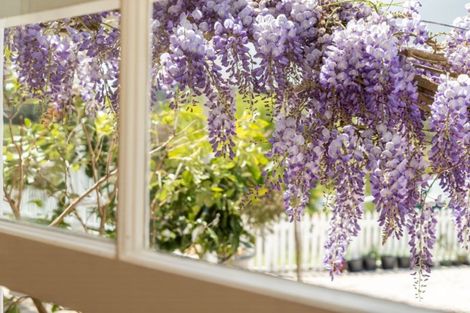 Photo of property in 5 Hook Road, Paparoa, 0571