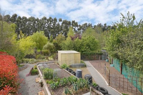 Photo of property in 426 Collins Road, Springston, Christchurch, 7674