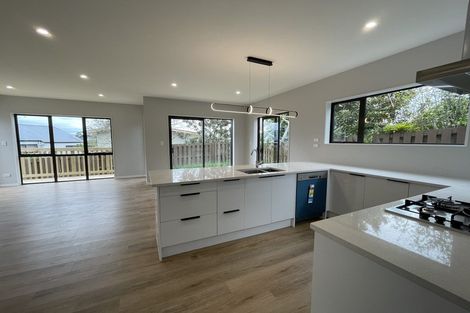 Photo of property in 10a Madison Place, Dinsdale, Hamilton, 3204