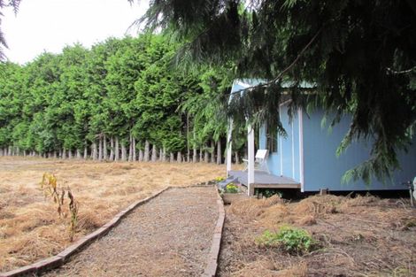 Photo of property in 374 Racecourse Road, Tamahere, Hamilton, 3493