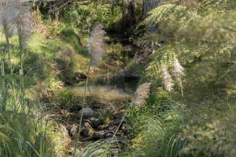 Photo of property in 403 Purangi Road, Purangi, Whitianga, 3591