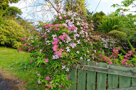 Photo of property in 802 West Coast Road, Oratia, Auckland, 0604