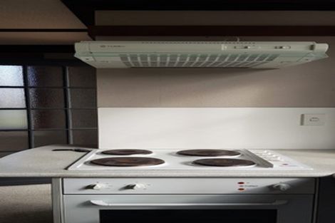 Photo of property in 21a Hammond Street, Hamilton Central, Hamilton, 3204