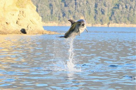 Photo of property in 3126 Archers Road, Tennyson Inlet, Rai Valley, 7195