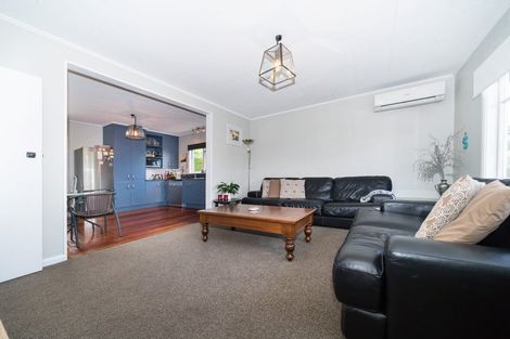 Photo of property in 19 East Street, Terrace End, Palmerston North, 4410