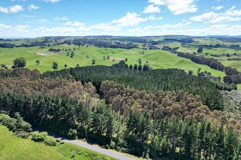 Photo of property in 1401 Whangamata Road, Marotiri, Taupo, 3377