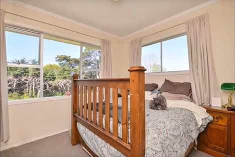 Photo of property in 3/257 Pakuranga Road, Pakuranga, Auckland, 2010