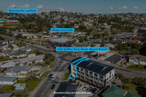 Photo of property in 4/25 Griffen Park Road, Mount Roskill, Auckland, 1041