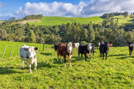 Photo of property in 485 Mangati Road, Puketotara, Te Awamutu, 3876