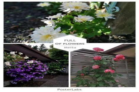 Photo of property in 14 Maryann Place, Greenhithe, Auckland, 0632