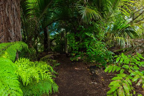 Photo of property in 16 Russell Street, Whataupoko, Gisborne, 4010