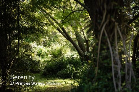 Photo of property in 17 Princes Street, Waikino, Waihi, 3682