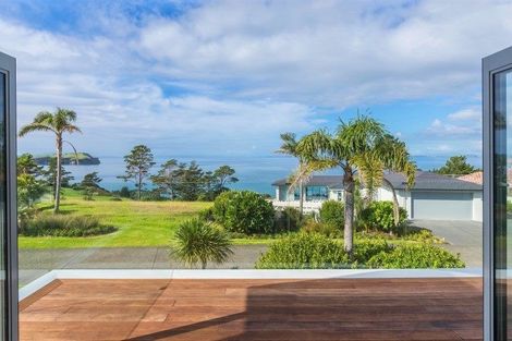 Photo of property in 2 Palm View Terrace, Gulf Harbour, Whangaparaoa, 0930