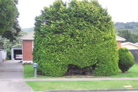 Photo of property in 29 Molesworth Street, Taita, Lower Hutt, 5011