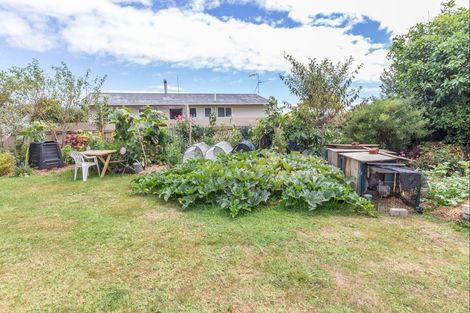 Photo of property in 21 Martin Harvey Street, Levin, 5510