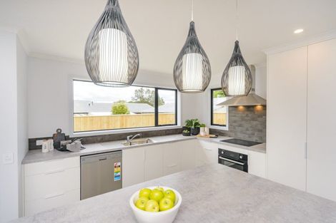 Photo of property in 154a Lethbridge Street, Feilding, 4702