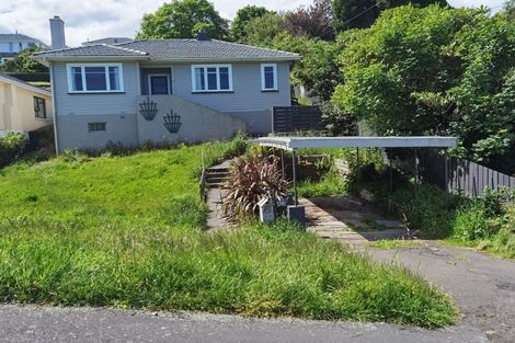 Photo of property in 116 Oakwood Avenue, Balaclava, Dunedin, 9011