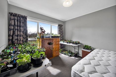 Photo of property in 219 Durham Road, Norfolk, Inglewood, 4388