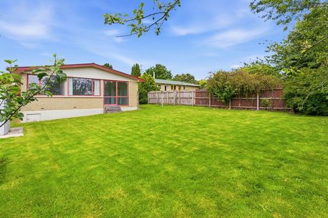 Photo of property in 290 Brockville Road, Brockville, Dunedin, 9011