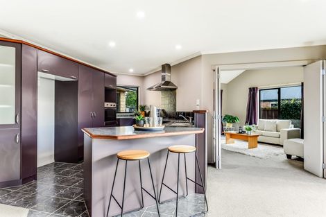 Photo of property in 13 Ellsworth Place, Chartwell, Hamilton, 3210