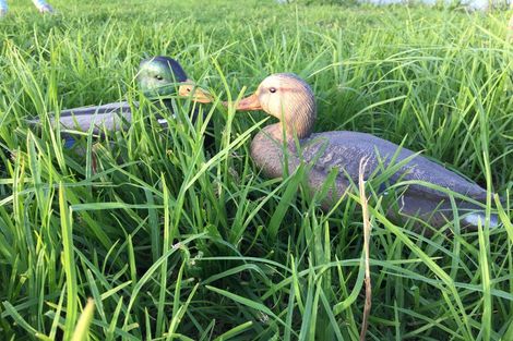 Photo of property in 5 Ronas Place, Kaingaroa, Kaitaia, 0483