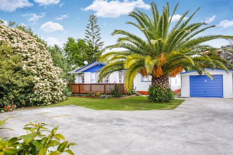 Photo of property in 16 Hinerau Street, Henderson, Auckland, 0612