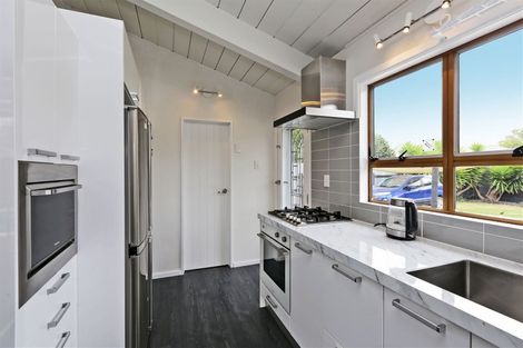 Photo of property in 1029b Beatty Street, Mayfair, Hastings, 4122