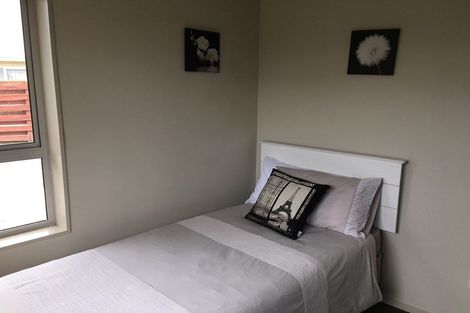 Photo of property in 39a Mcdonald Street, Napier South, Napier, 4110