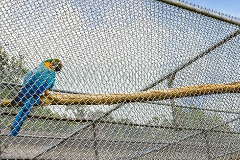 Photo of property in 680 Hurford Road, Hurford, New Plymouth, 4374