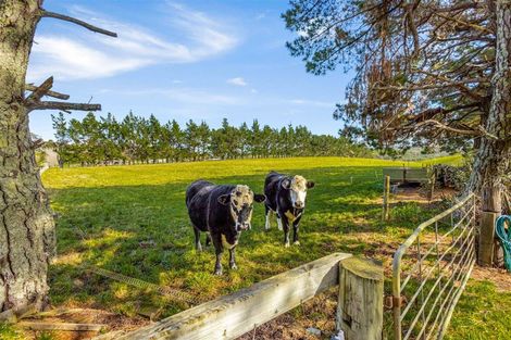 Photo of property in 192 Muriwai Valley Road, Muriwai, Waimauku, 0881