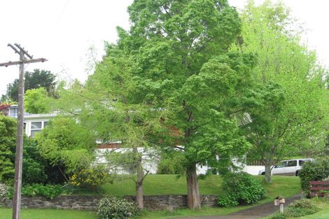 Photo of property in 18 Fairview Terrace, Paeroa, 3600