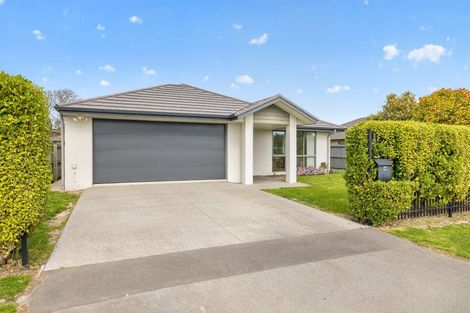 Photo of property in 46 Averill Street, Richmond, Christchurch, 8013
