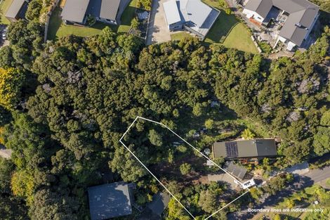 Photo of property in 498 Wyuna Bay Road, Wyuna Bay, Coromandel, 3581