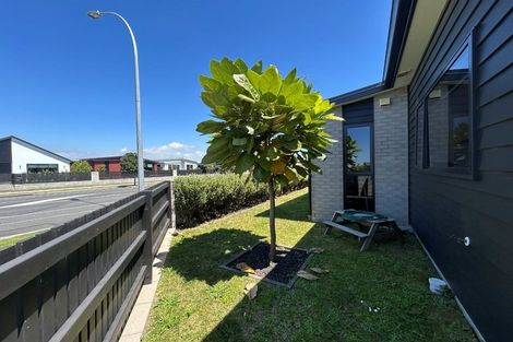 Photo of property in 3 Bronze Court, Papamoa, 3118