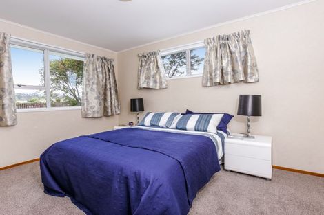 Photo of property in 16 Hinerau Street, Henderson, Auckland, 0612